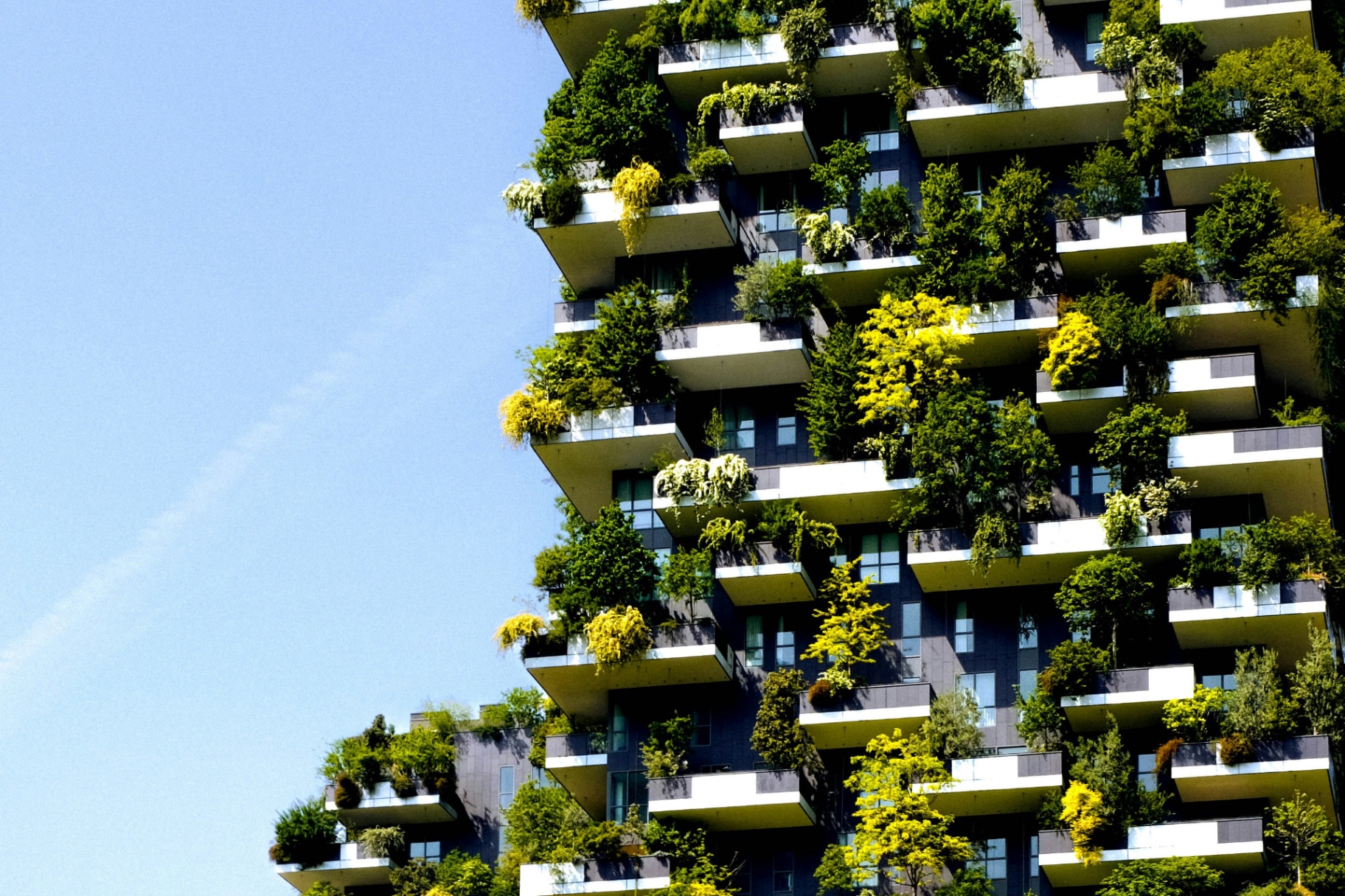 Vertical forest tower with regenerative planted balconies